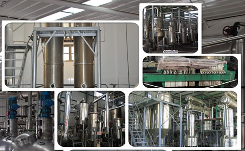 Company Information