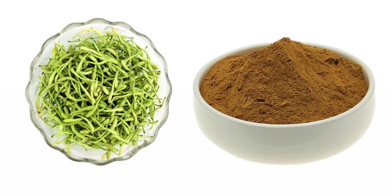 product-1-1 Honeysuckle extract powder display