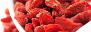 product-1-1 Honeysuckle Flower Extract Powder+Chinese wolfberry