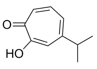 hinokitiol structure hinokitiol structure